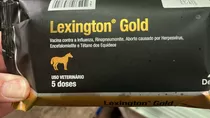 Lexington Gold 