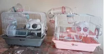 Jaula 2pisos Con Tubos Para Hamster