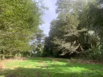 Hermosa Parcela Bosque Nativo Entre Lagos Puyehue Y Rupanco