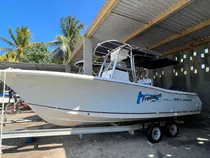 Lancha Seahunt Triton 240 2009