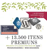 Acervo De Temas Wordpress Premium + Plugins Premium + Brinde