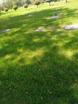 Lote De Cementerio Jardines La Inmaculada 