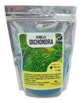 500grms De Semillas De Dichondra Repens - Oreja De Raton 