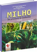 Milho Do Plantio À Colheita