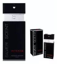 Perfume Silver Scent Intense Edt 100ml Original Envio Rápido