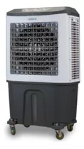 Climatizador De Ar Industrial 80 L 250w 6.000 M³/h Ultraar Cor Cinza/branco 220v