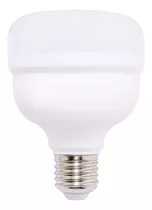 Lâmpada Bulbo Led Alta Potência 20w Branco Quente Empalux Cor Da Luz Branco Quente 2400k Bivolt