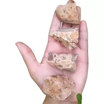 Pedra Bruta Jaspe Leopardo Ou Leopardita / Cristal