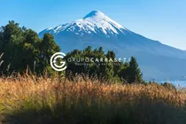 Parcelas Con Bosque Y Vista A Volcan - Reserva Miralago