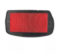 Filtro De Aire Oem Para Yamaha Fz6-nahg Fz6-nhg Fz6-sahg Fz6