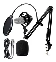 Microfono Profesional Condesador Condenser Brazo Articulado Color Plateado Con Negro