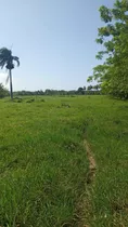 Te Vendo Excelente Finca En Bayaguana Monte Plata 