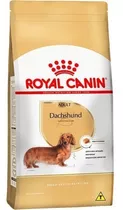 Ração Royal Canin Dachshund Para Cães Adultos 7.5kg Pett