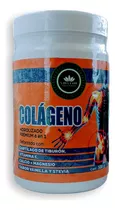 Colágeno Hidrolizado Premium 500gr En Polvo