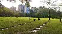 Jazigo Cemitério Do Morumby - Quadra Xv - Área Nobre