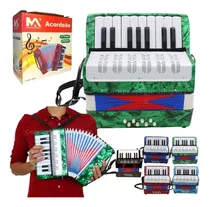 Acordeon Sanfona Gaita Infantil 8 Baixos 17 Teclas Brinquedo