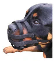 Bozal Pit Bull Dogo Rottweiler Collar Pretal Perro Halti