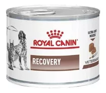 Alimento Royal Canin Veterinary Diet Canine Recovery Para Perro Adulto Todos Los Tamaños Sabor Mix En Lata De 145g