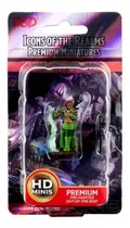 D&d Icons Of The Realms Premium Figures: Human Female Druid