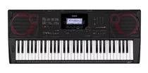 Teclado Organo Casio Ct X3000 61 Teclas 800 Tonos