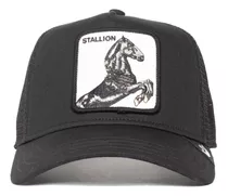 Gorra Goorin Bros Stallion