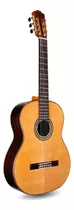 C10 Cd Clasico Madera Solida Guitarra Cuerda Nailon Acustico