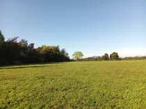 Lanzamiento! Parcelas Agrícolas En Mariposas, Talca