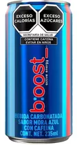 Energetico Boost 235 Ml.*