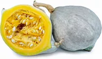 Semilla  De Calabaza  De Hortalizas Tree Seeds Huerto Urbano Por Unidad De 1 X 10 De 0.1g