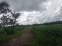 Te Vendo Finca Esta En/san Jose De Los Llanos.