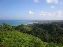 Terreno Con Vista Al Mar Coson Las Terrenas