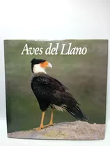 Aves Del Llano - Fauna Colombia - Ambiente Colombia