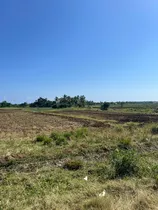 Vendo Terreno En Palenque, San Cristóbal!!