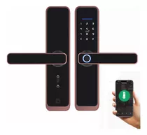 Cerradura Inteligente Chapa Smart Biometrica Tuya Wifi - X2