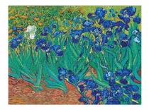 Quebra Cabeças Puzzle Irises Decoração Sala  1000pcs