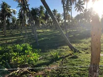 Vendo Terreno En Playa El Limón En Miches Con Frente De Playa 