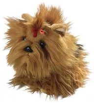 Carl Polla Yorkshire Terrier Perro Cachorro 8.5 M0lyj