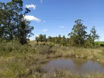 Chacra A 15 Min Del Mar Con Tajamares, Monte Nativo, Frutales, Pozo De Agua Y Luz