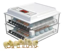 Incubadora De 120 Huevos Control Humedad Rotacion Automatica