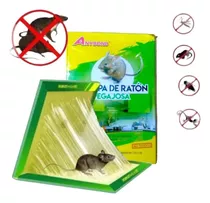 Trampa Para Ratas Ratones Pericotes Pegamento Adhesivo X12