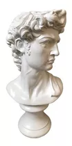 Imagem Busto David De Michelangelo 40cm Estátua Gesso Cru