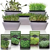 Pack De 5 Microvegetales Instrucciones Plantar, Germina...