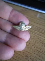 Lucheto Pin Prendedor Insignia Fuerza Aérea Arg -retro      