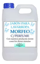 Jabón Para Lavarropas Líquido Con Perfume Biodegradable 10 L