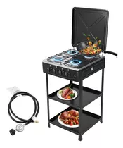 Cocina 4 Platos Quedamores A Gas Moderna Soporte Desmontable