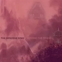 Benzene Ring Crossing The Divide Usa Import Cd