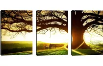 Quadro Decorativo 3 Telas Paisagem Rústica Ao Pôr Do Sol