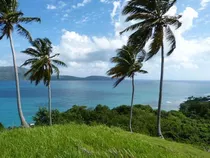 Se Vende Terreno Con Playa Privada En Las Galeras, Samaná