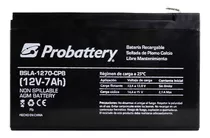 Batería Probattery 12v 7ah Para Alarmas Ups Energía Solar 