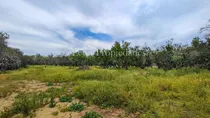 Se Vende Terreno De 5000 Mts2 A Orillas De Camino El Toro.